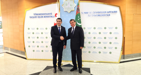 В МИД Туркменистана проведена встреча с Председателем Парламента Грузии
