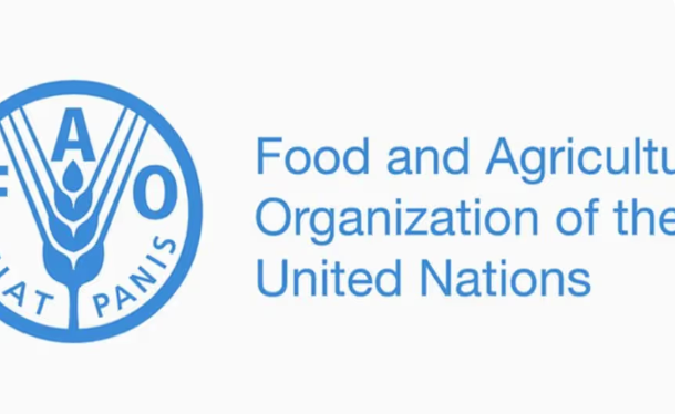 Aşgabatda «Üýtgeýän howa şertlerinde saglyk we iýmitleniş» atly halkara maslahat geçiriler