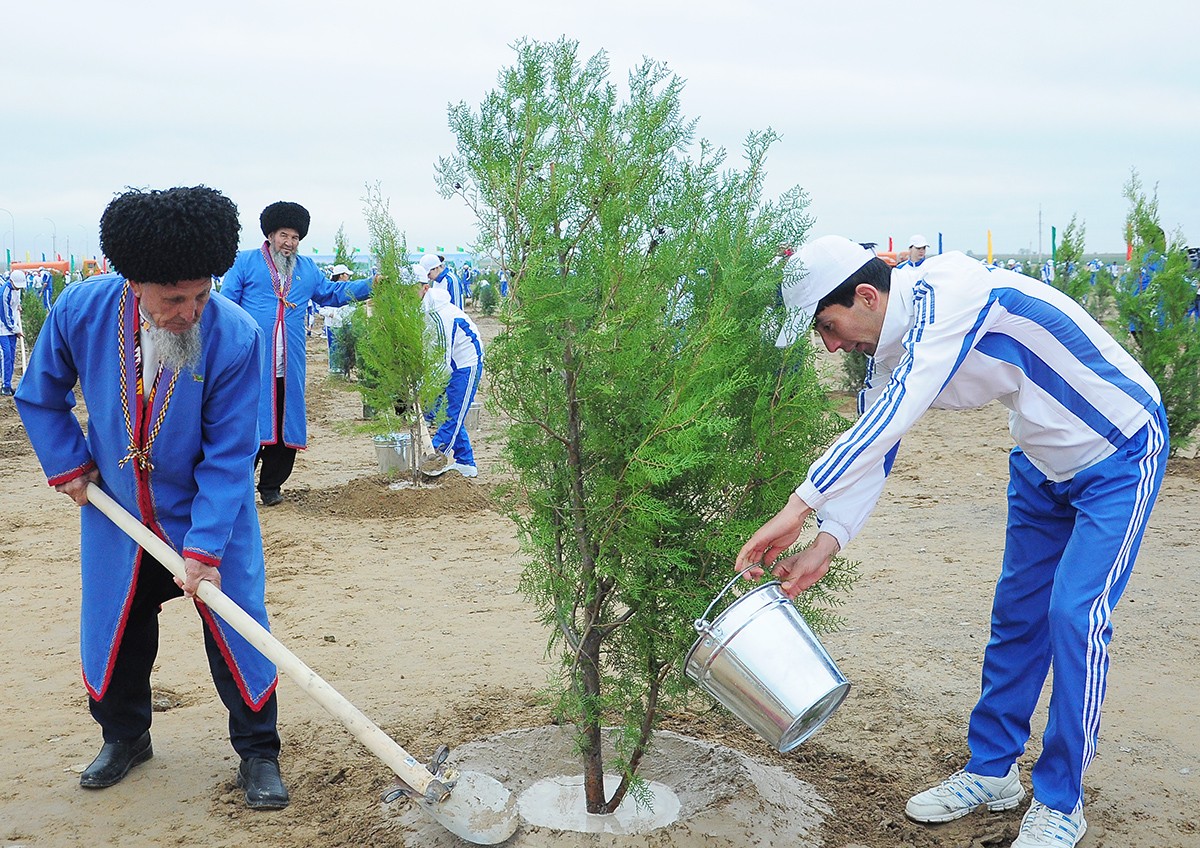 A nationwide tree-planting campaign will be held in Turkmenistan on March 21