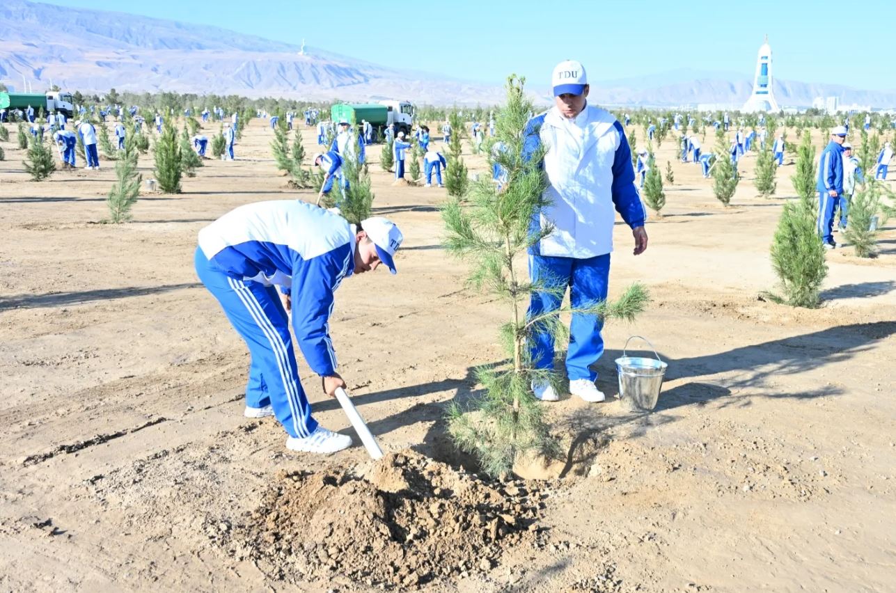 В Туркменистане в ходе всенародной акции высажено почти 450 тысяч деревьев