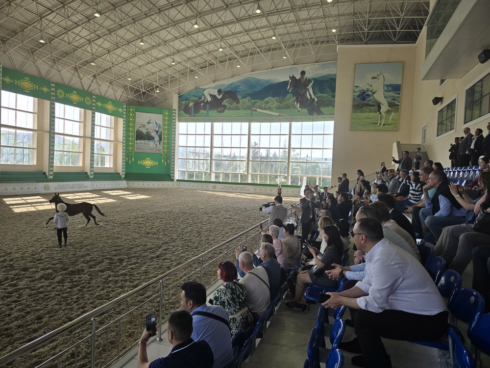 Участники конференции ОСЖД в Туркменистане оценили красоту ахалтекинских скакунов