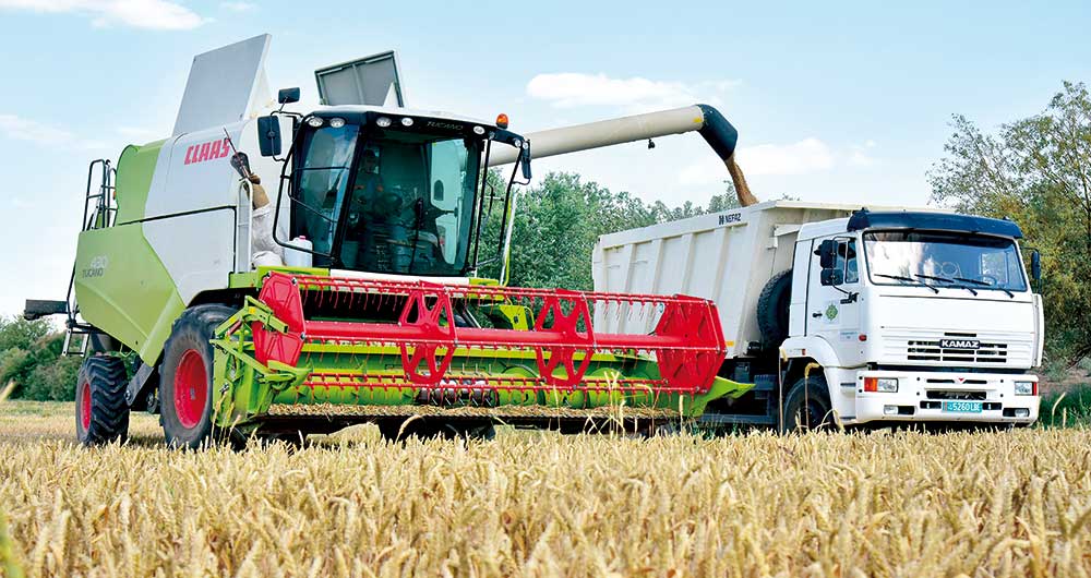 2023-nji ýylda galla oragyny guramaçylykly geçirmek boýunça döwlet topary döredildi